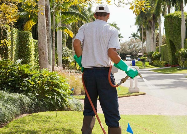 About New Bloomfield PA Pest Control